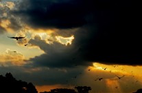 Birds and a dramatic sky