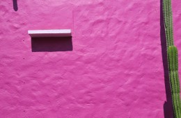 Pink Wall – Mexico