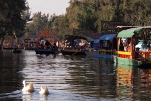 There are 180km of canals in the Mexico City neighborhood of Xochimilco